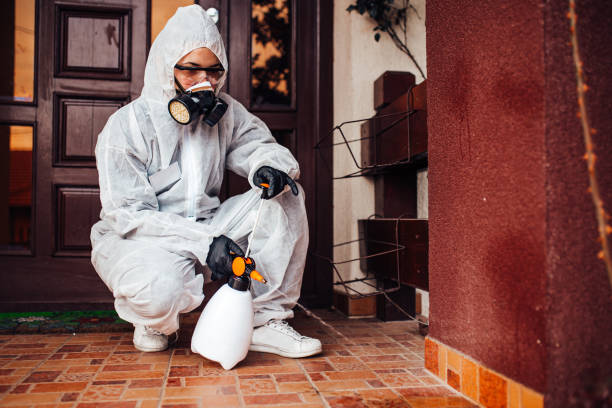 Reliable Cockroach Control contractor in Baltimore, OH by Nex Pest Control